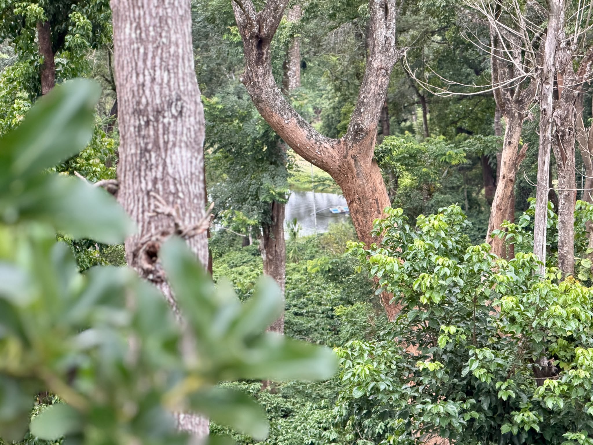 Wayanad